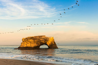 Flock of birds flying over sea against sky