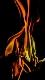 Close-up of fire against black background