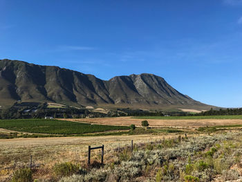 Scenic view of field and mountains against blue sky