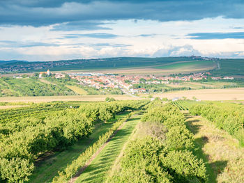 landscape