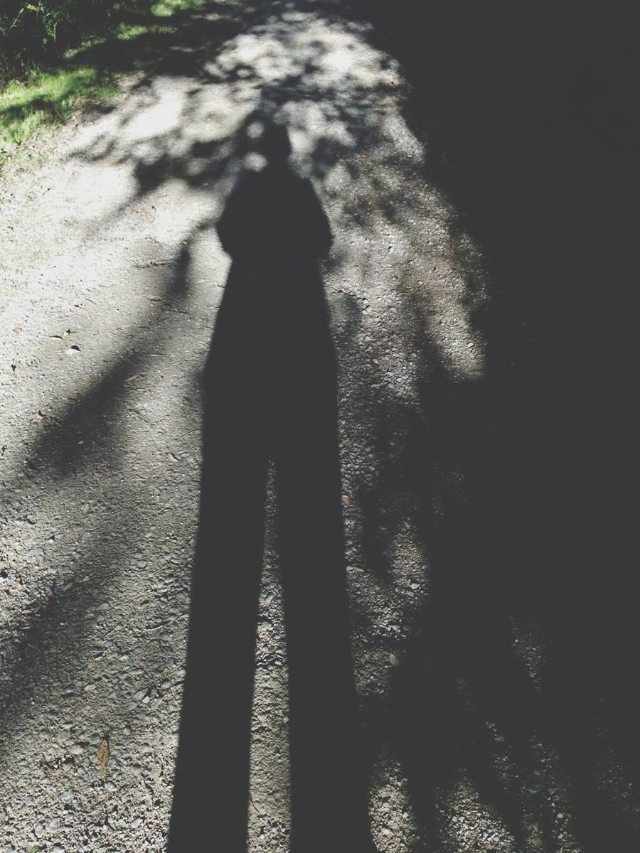 shadow, silhouette, focus on shadow, sunlight, standing, high angle view, lifestyles, outdoors, unrecognizable person, men, leisure activity, outline, street, night, nature, walking, tree