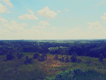 Scenic view of agricultural field against blue sky