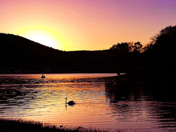 Silhouette ducks swimming in lake during sunset