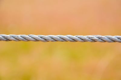 Close-up of rope on field