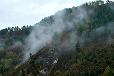 Scenic view of fog in forest against sky