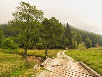 Scenic view of trees on landscape against sky