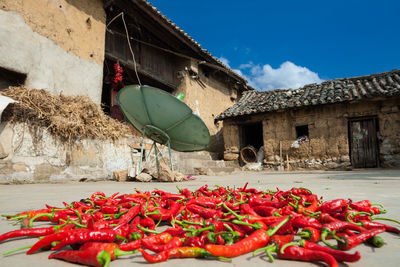 Red chili peppers in front of built structure against sky