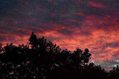 Low angle view of silhouette trees against dramatic sky