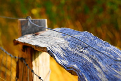 Close-up of wooden railing
