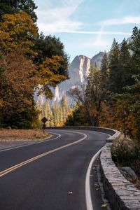 Road by trees against sky during autumn