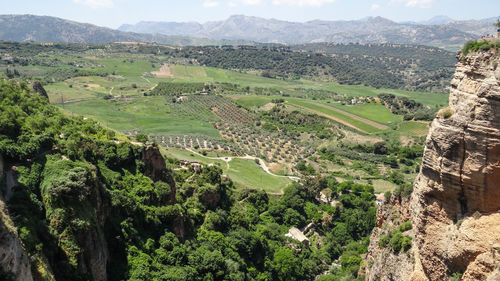 High angle view of trees on landscape