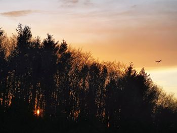 Silhouette birds flying against sky during sunset