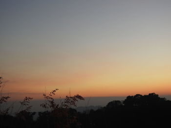 Silhouette trees against clear sky at sunset