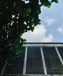 Low angle view of building against sky