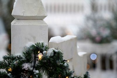 View of christmas tree