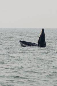 View of a boat in the sea