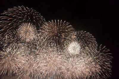 Low angle view of firework display at night