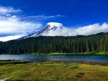 Trees at lakeshore with mountain in background