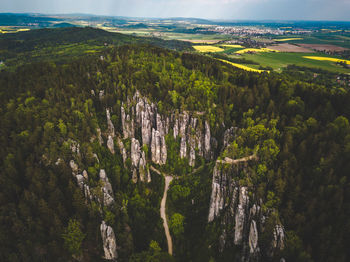 High angle view of trees on landscape