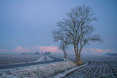 Bare tree on snow covered landscape against clear sky