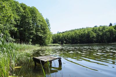 Scenic view of lake in forest against clear sky