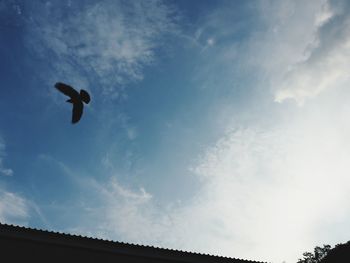 Low angle view of bird flying against sky