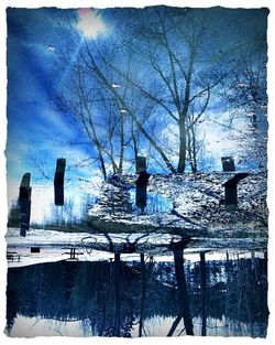 Snow covered trees in winter