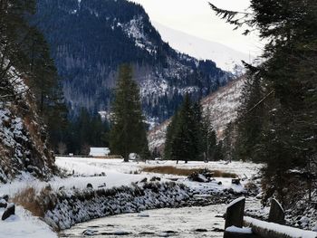 Scenic view of snow covered mountains