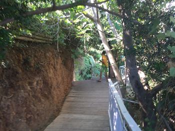 Narrow pathway along trees