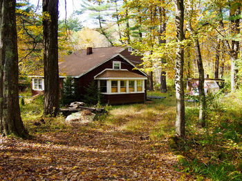 House with trees in background