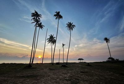 Low angle view of silhouette coconut palm trees on beach against sky