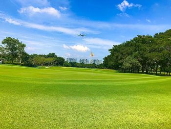 Scenic view of grassy field against sky