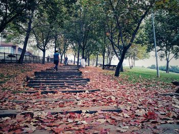 Man walking in park during autumn