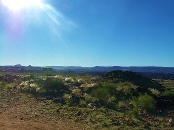 Scenic view of field against clear blue sky