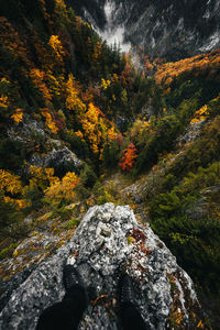 Low section of man against trees