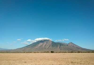 Scenic view of landscape against blue sky