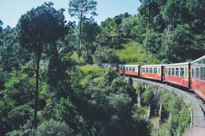 Train by trees against sky