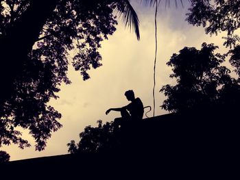 Low angle view of silhouette trees against sky