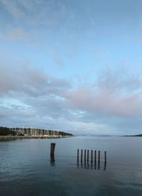 Wooden posts on pier over sea against sky