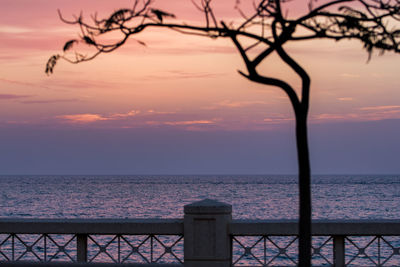 Silhouette tree by sea against sky during sunset