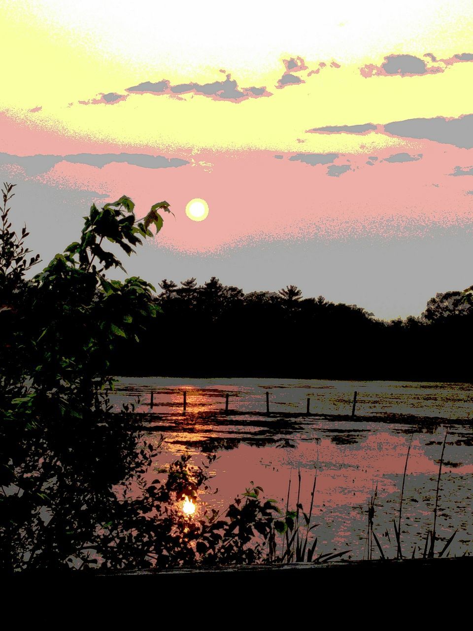 sunset, silhouette, water, tranquility, tranquil scene, scenics, beauty in nature, orange color, tree, nature, reflection, sun, lake, sky, idyllic, plant, growth, river, outdoors, no people