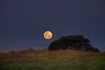 Scenic view of field against moon at night