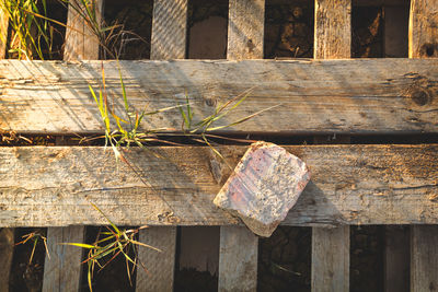 Directly above view of brick on boardwalk