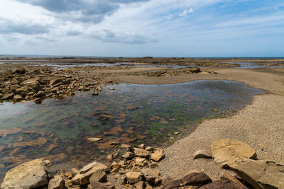 Scenic view of beach against sky