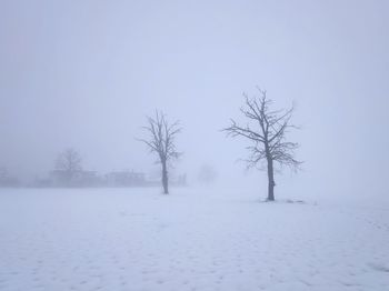 Bare trees on snow field against sky during winter