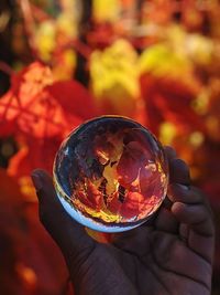 Close-up of hand holding crystal ball