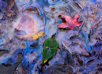 Full frame shot of multi colored water