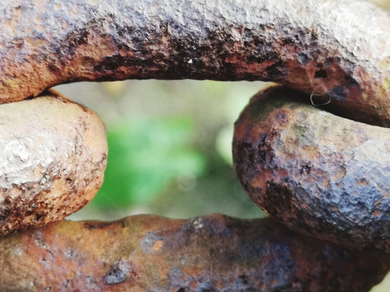 CLOSE-UP OF OLD RUSTY TREE