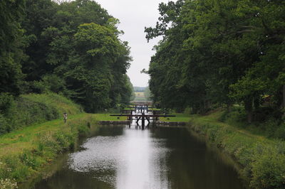 Scenic view of river amidst trees against sky