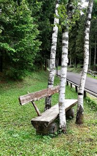 Empty bench on grassy field